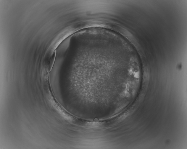 X0000116781377201001071228