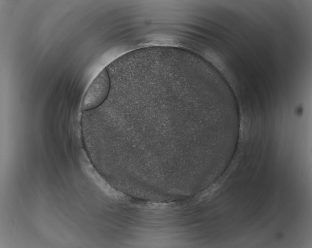 X0000116781378201001071228