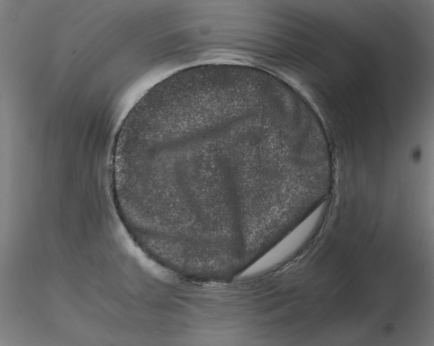 X0000116781379201001071228