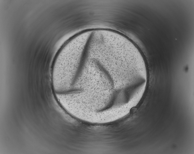 X0000116781380201001071228