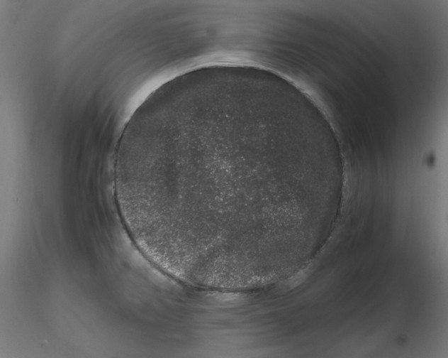 X0000116781382201001071228