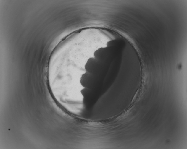 X0000116781383201001071228