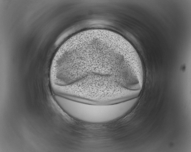 X0000116781384201001071228