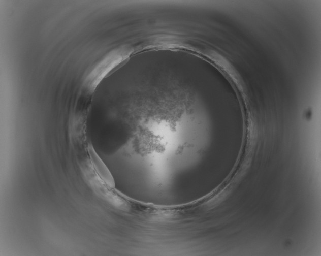 X0000116781385201001071228