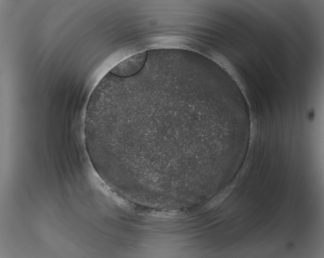 X0000116781386201001071228