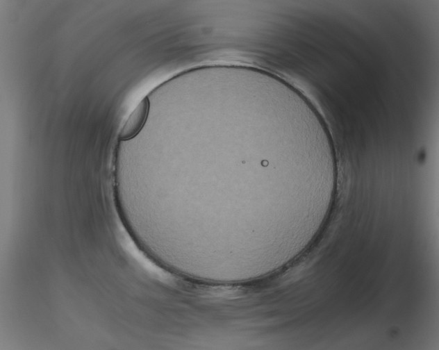 X0000116781387201001071228