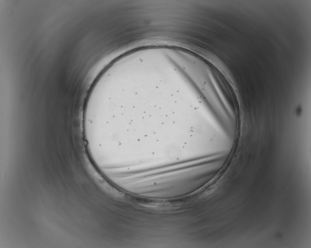 X0000116781388201001071228