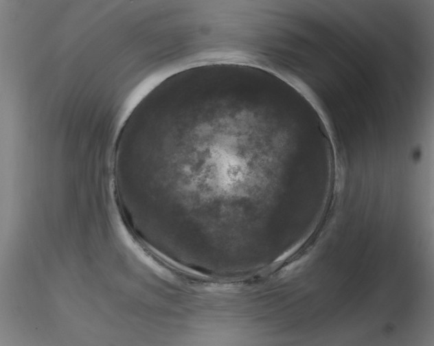 X0000116781389201001071228