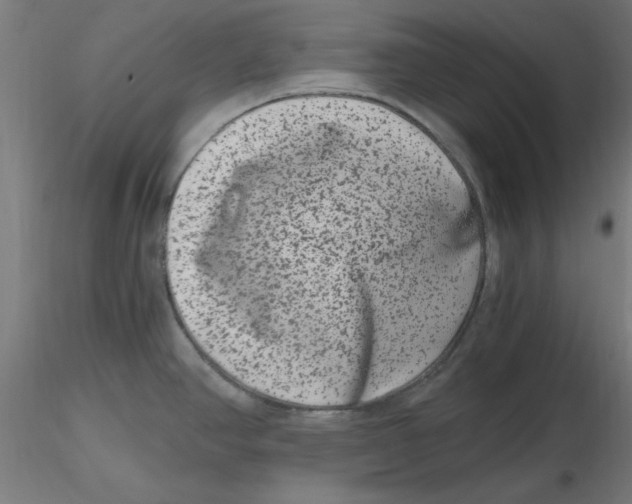 X0000116781390201001071228