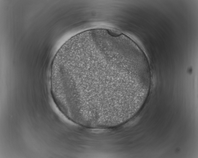 X0000116781391201001071228