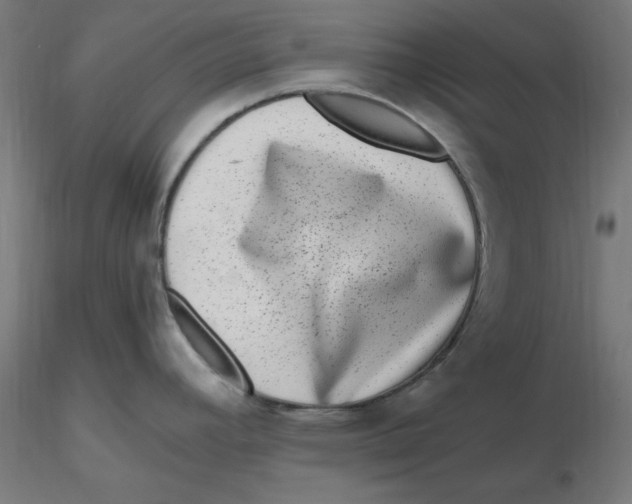 X0000116781392201001071228