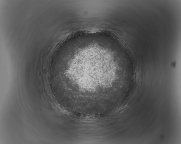 X0000116781393201001071227