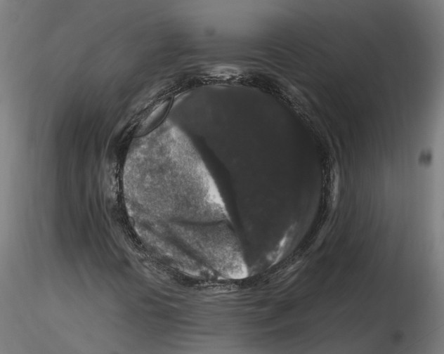 X0000116781394201001071227