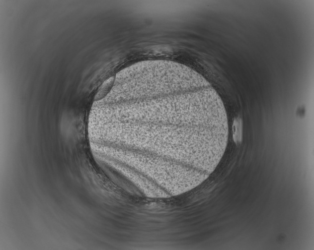 X0000116781395201001071227