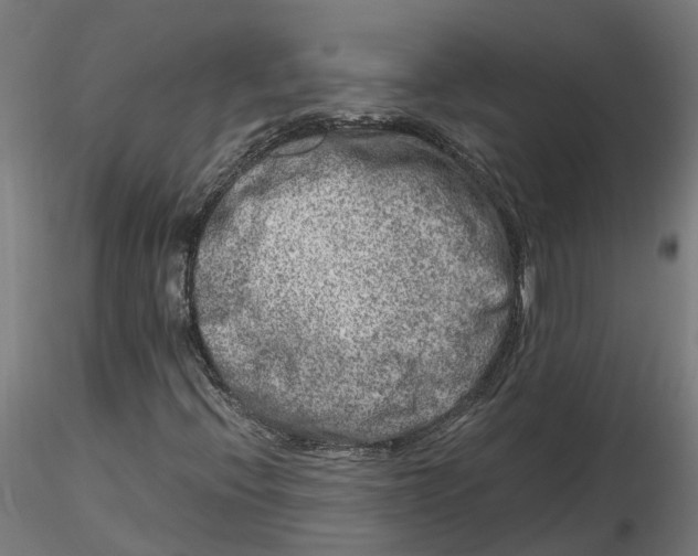 X0000116781396201001071227