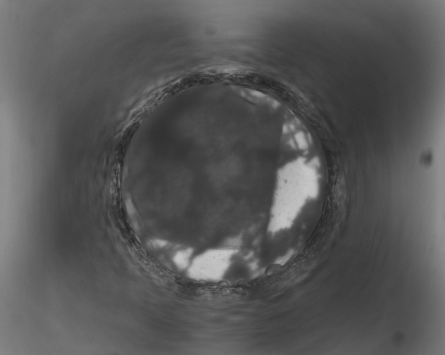 X0000116781397201001071227