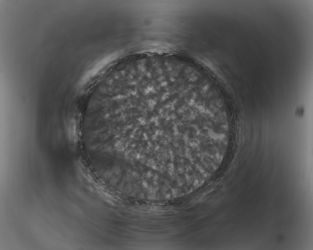 X0000116781399201001071227