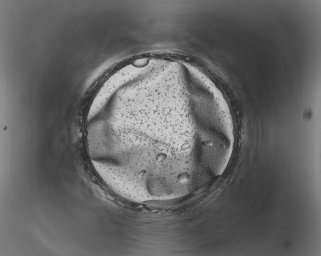 X0000116781400201001071227