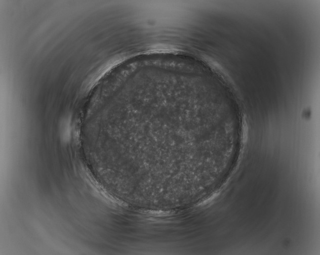 X0000116781401201001071227