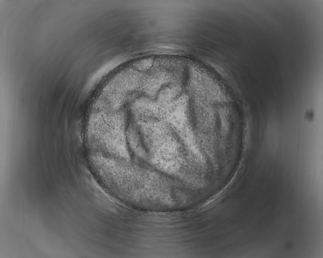 X0000116781402201001071227