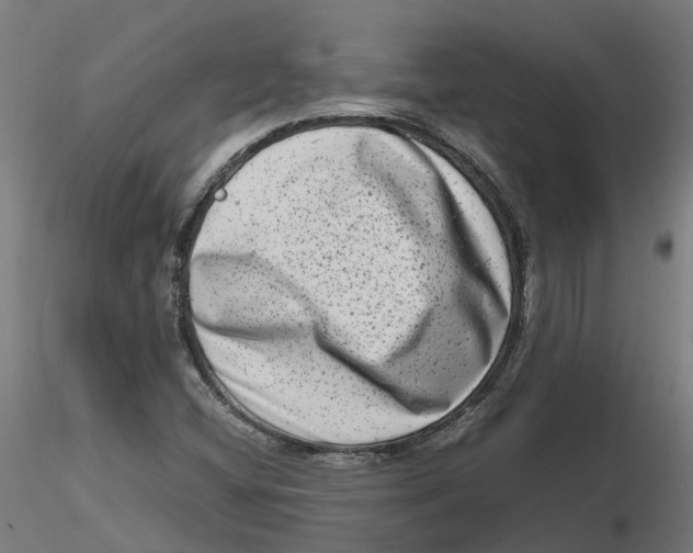 X0000116781404201001071227