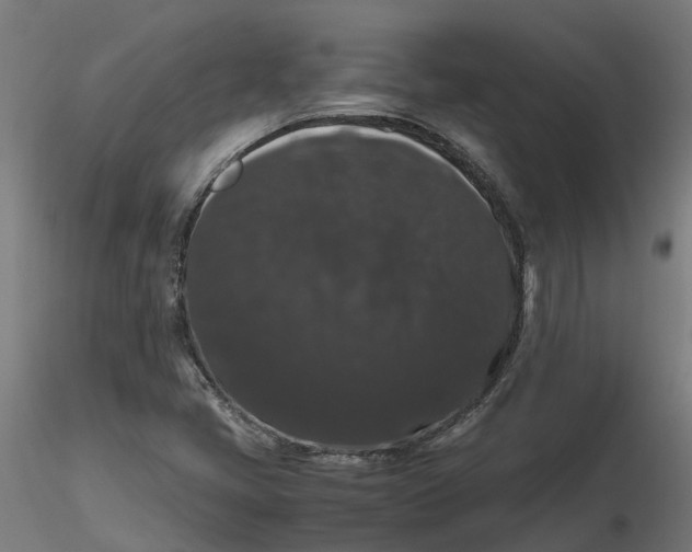 X0000116781405201001071227