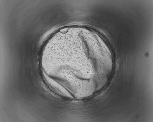 X0000116781406201001071227