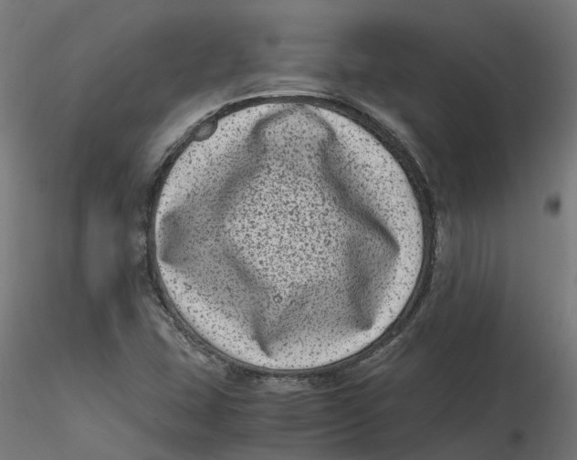 X0000116781407201001071227