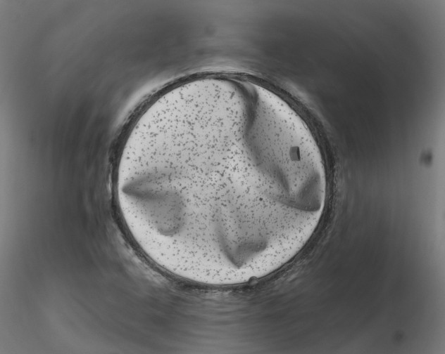 X0000116781408201001071227