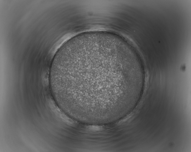 X0000116781409201001071227