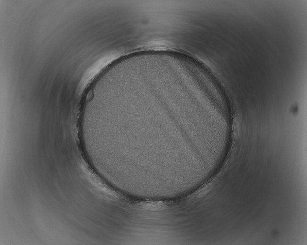 X0000116781410201001071227