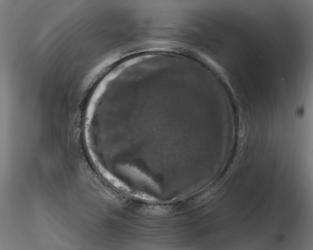 X0000116781411201001071227