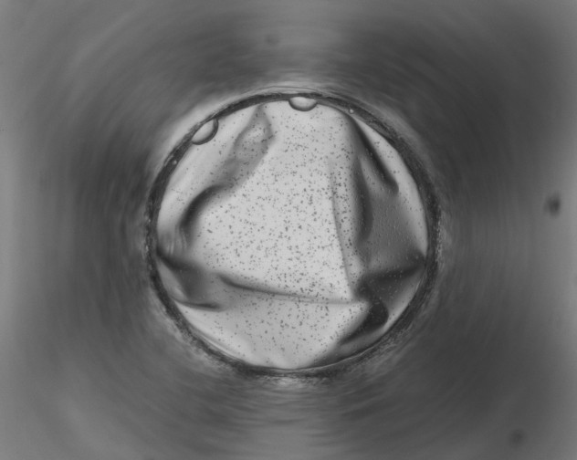 X0000116781412201001071227