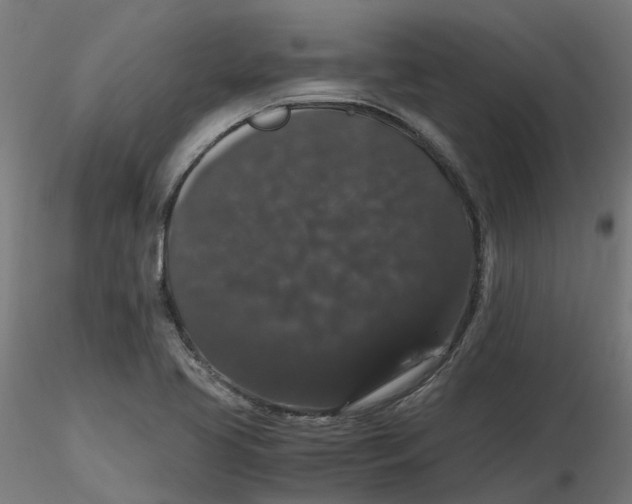 X0000116781413201001071227