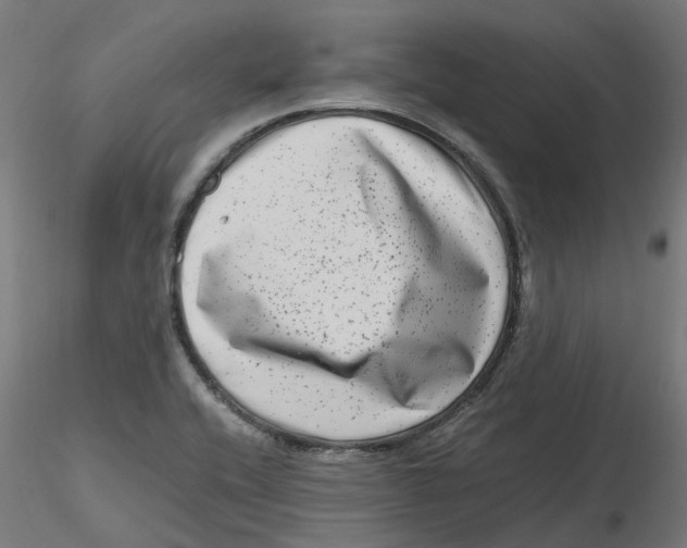 X0000116781416201001071227