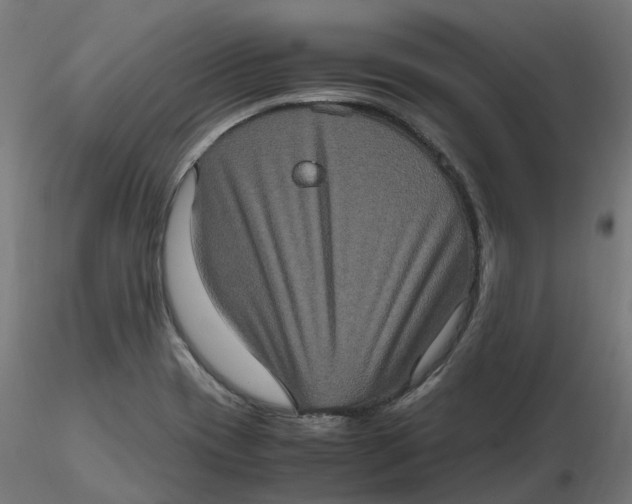 X0000116781417201001071227