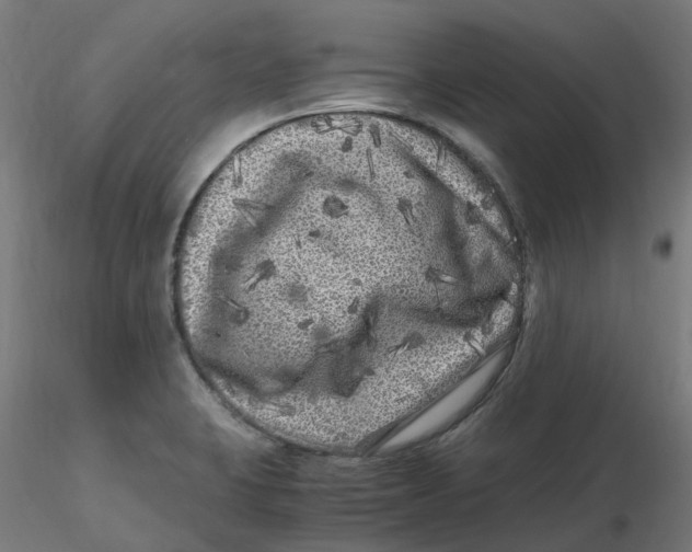 X0000116781423201001071228