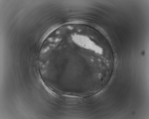 X0000116781425201001071228