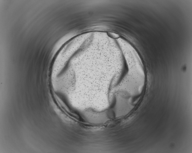 X0000116781426201001071228