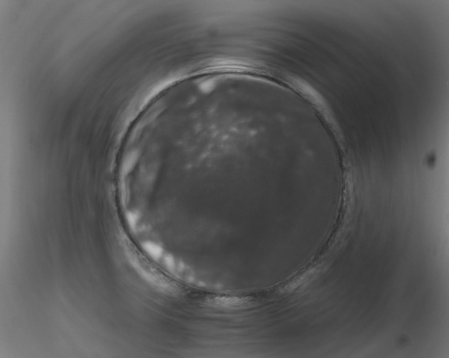 X0000116781427201001071228