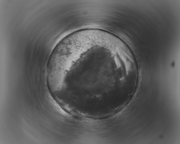 X0000116781428201001071228