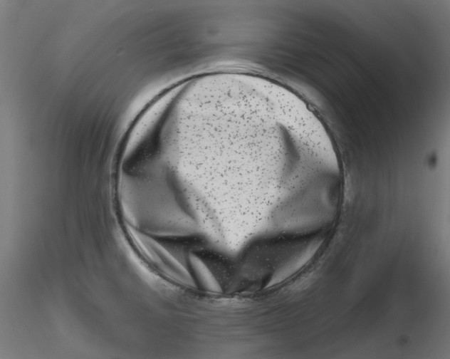 X0000116781430201001071228