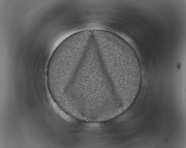 X0000116781431201001071228