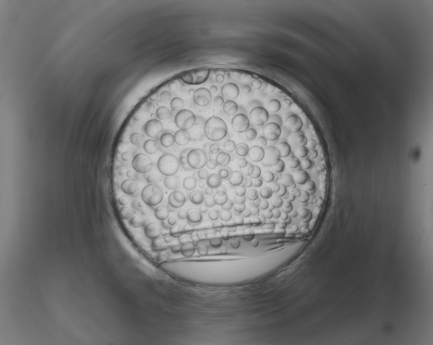 X0000116781432201001071228