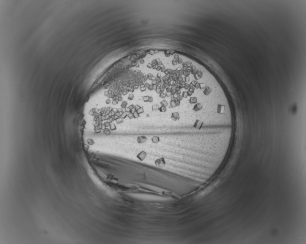 X0000116781433201001071228