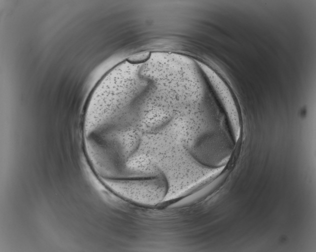 X0000116781434201001071228