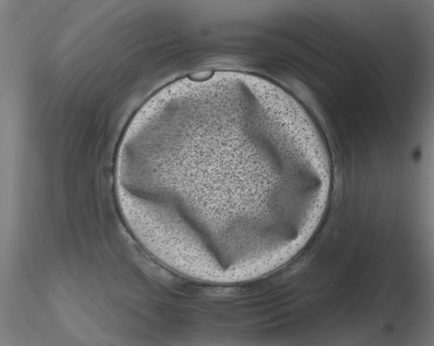 X0000116781435201001071228