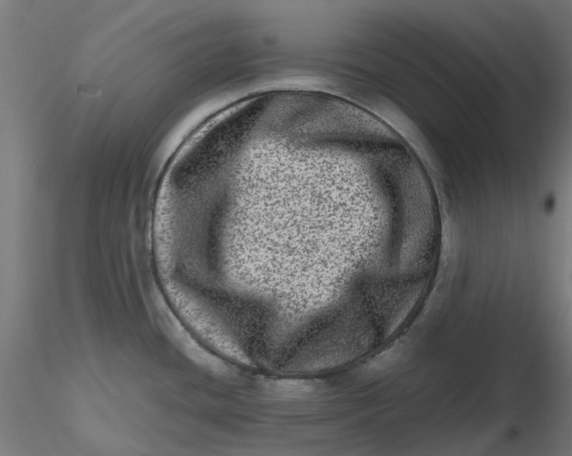 X0000116781436201001071228