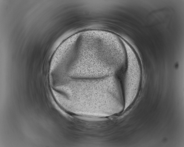 X0000116781437201001071228