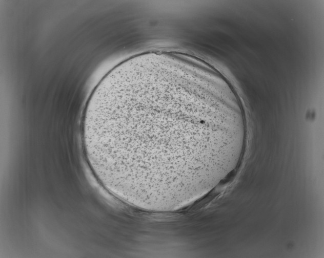 X0000116781440201001071228